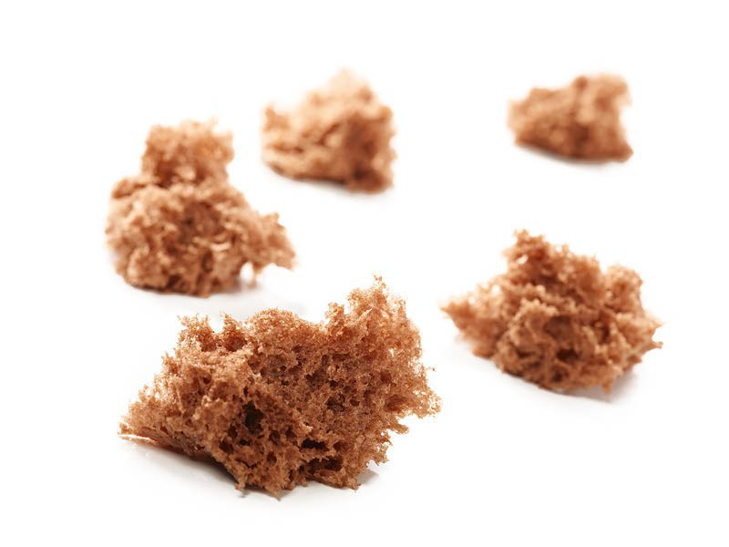 Spongecake Chocolate