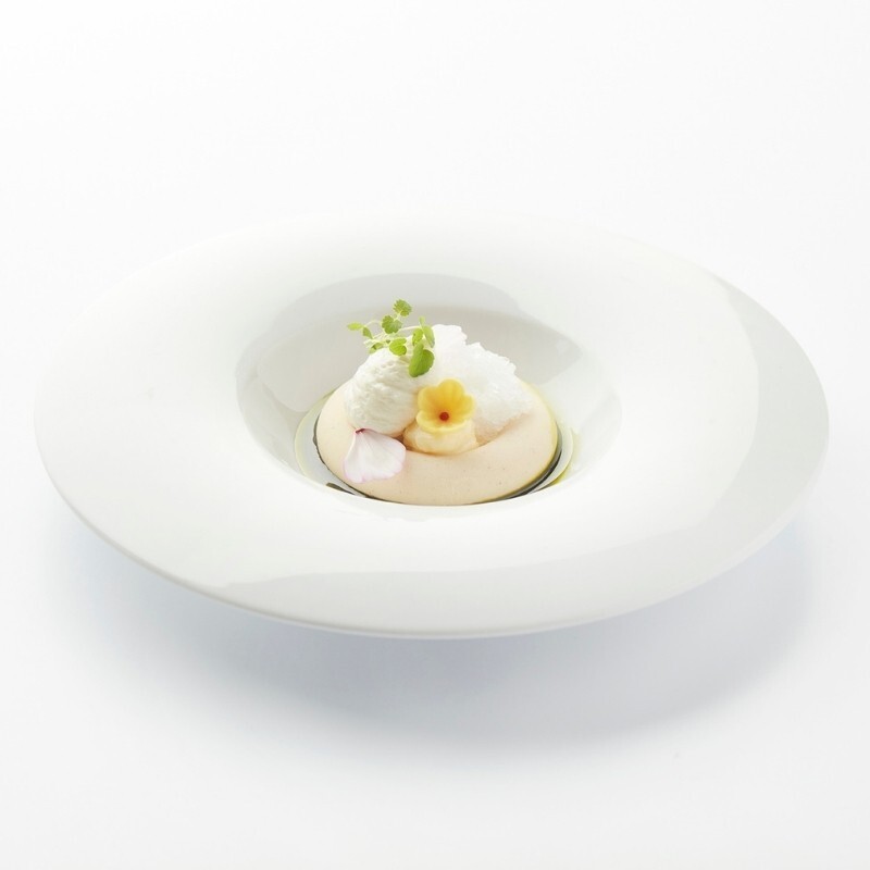 Ontdek onze nieuwigheden en breng je creaties naar een next-level dessertbeleving!